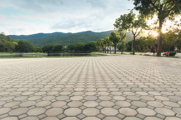Best Permeable Paver Driveway  in Red Lick, TX