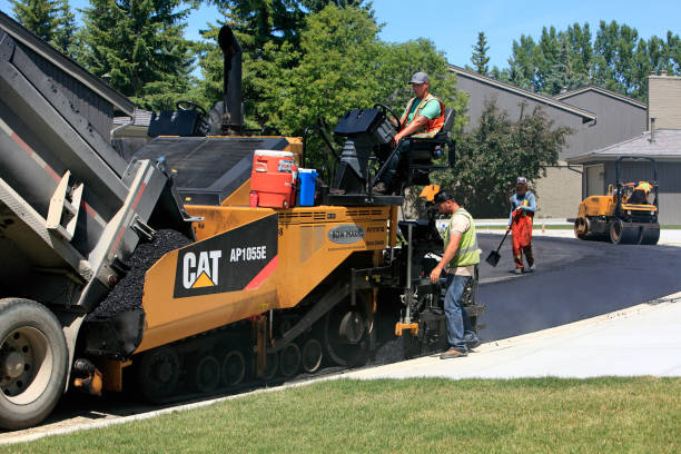 Best Local Driveway Pavers  in Red Lick, TX